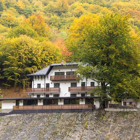 Poiana Mucenicului Hotell Arefu Exteriör bild