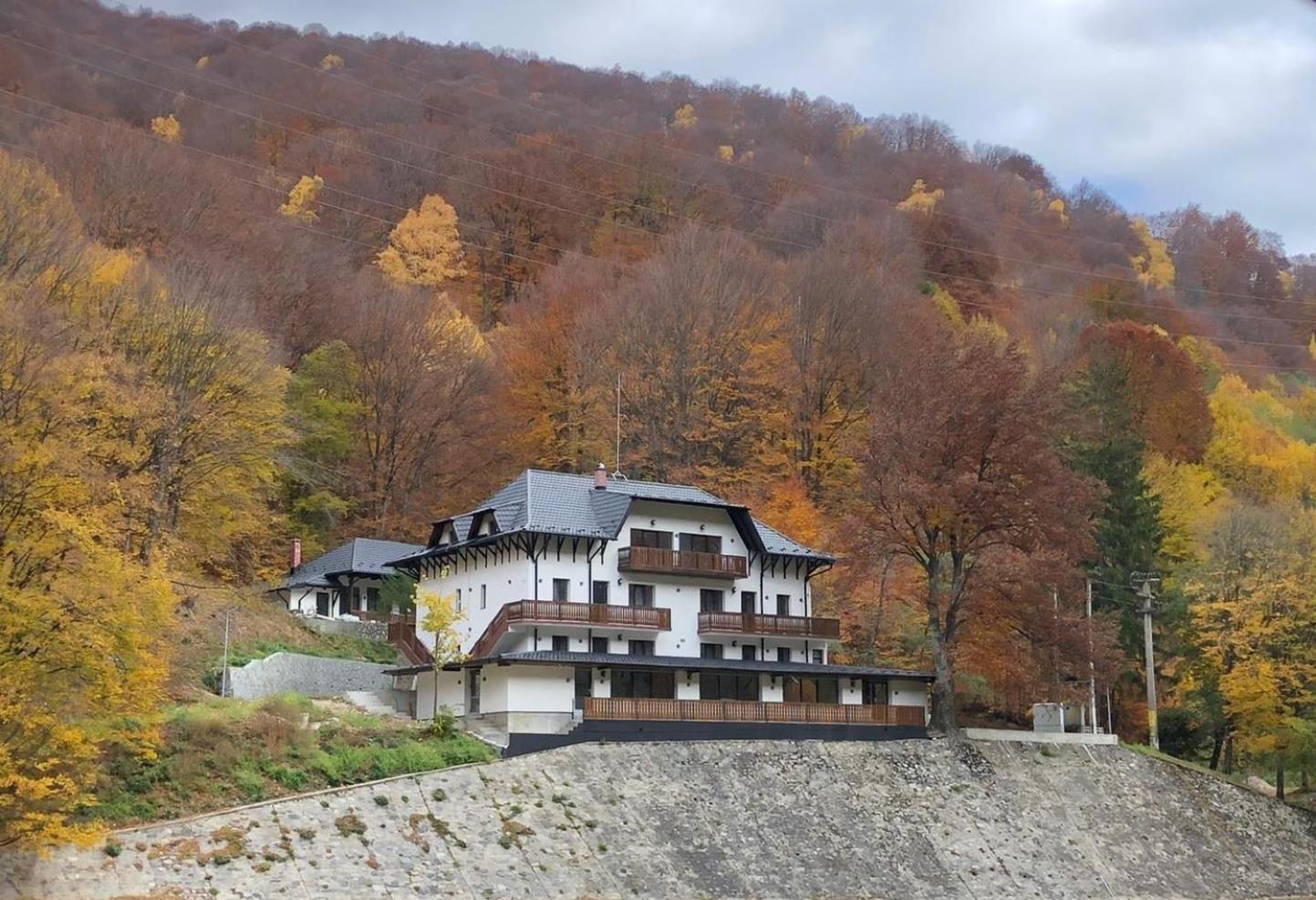 Poiana Mucenicului Hotell Arefu Exteriör bild