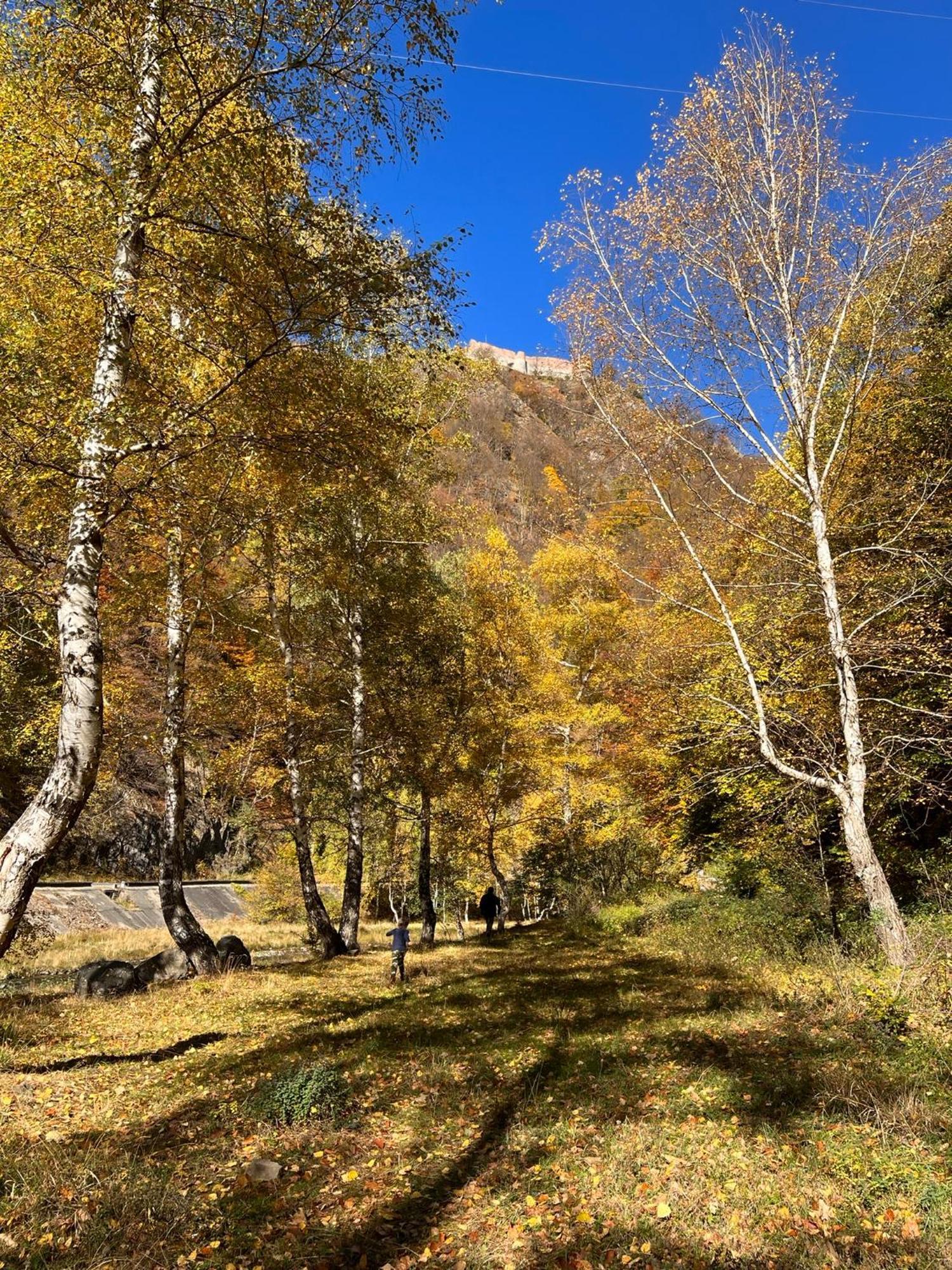 Poiana Mucenicului Hotell Arefu Exteriör bild