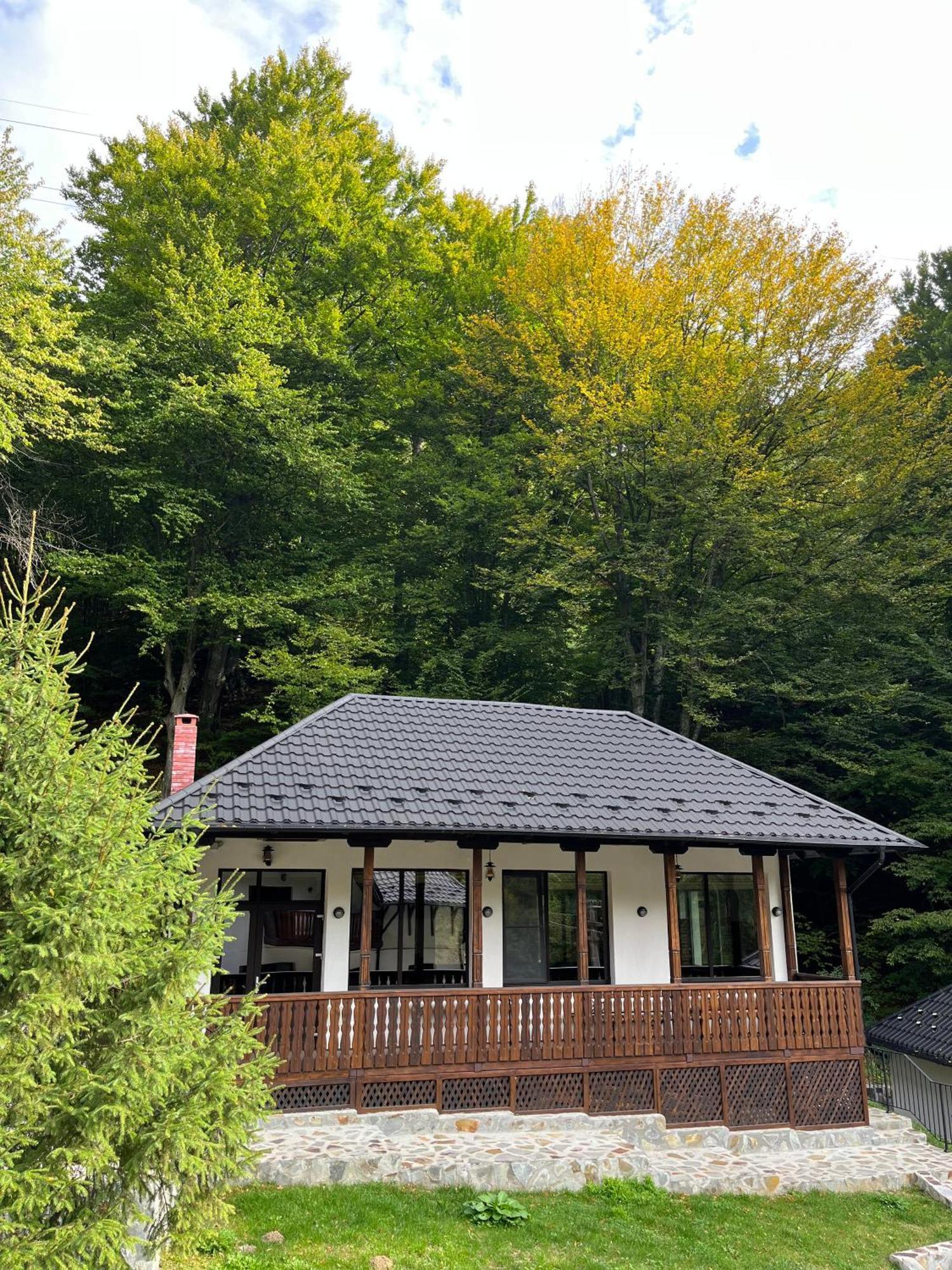 Poiana Mucenicului Hotell Arefu Exteriör bild