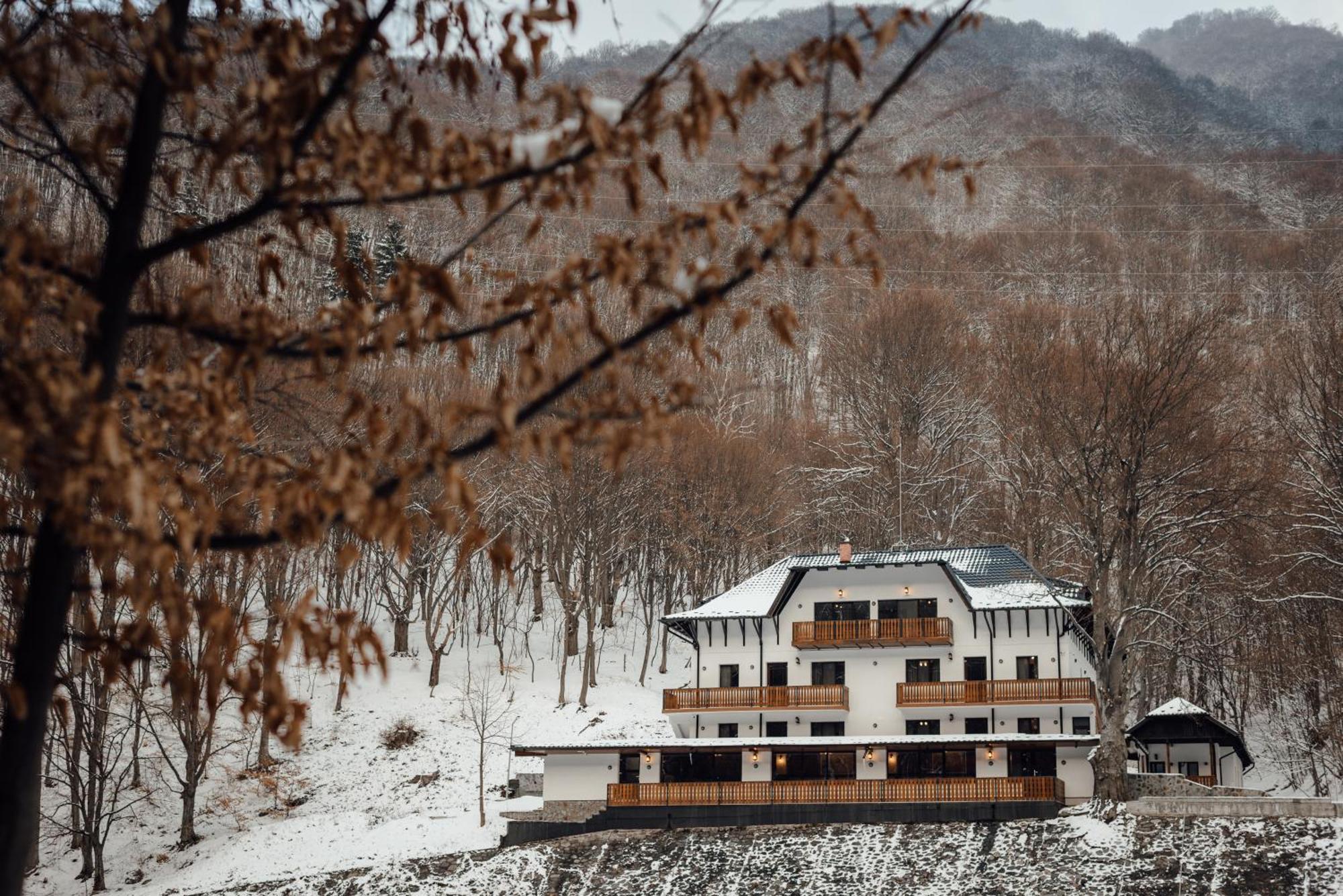 Poiana Mucenicului Hotell Arefu Exteriör bild