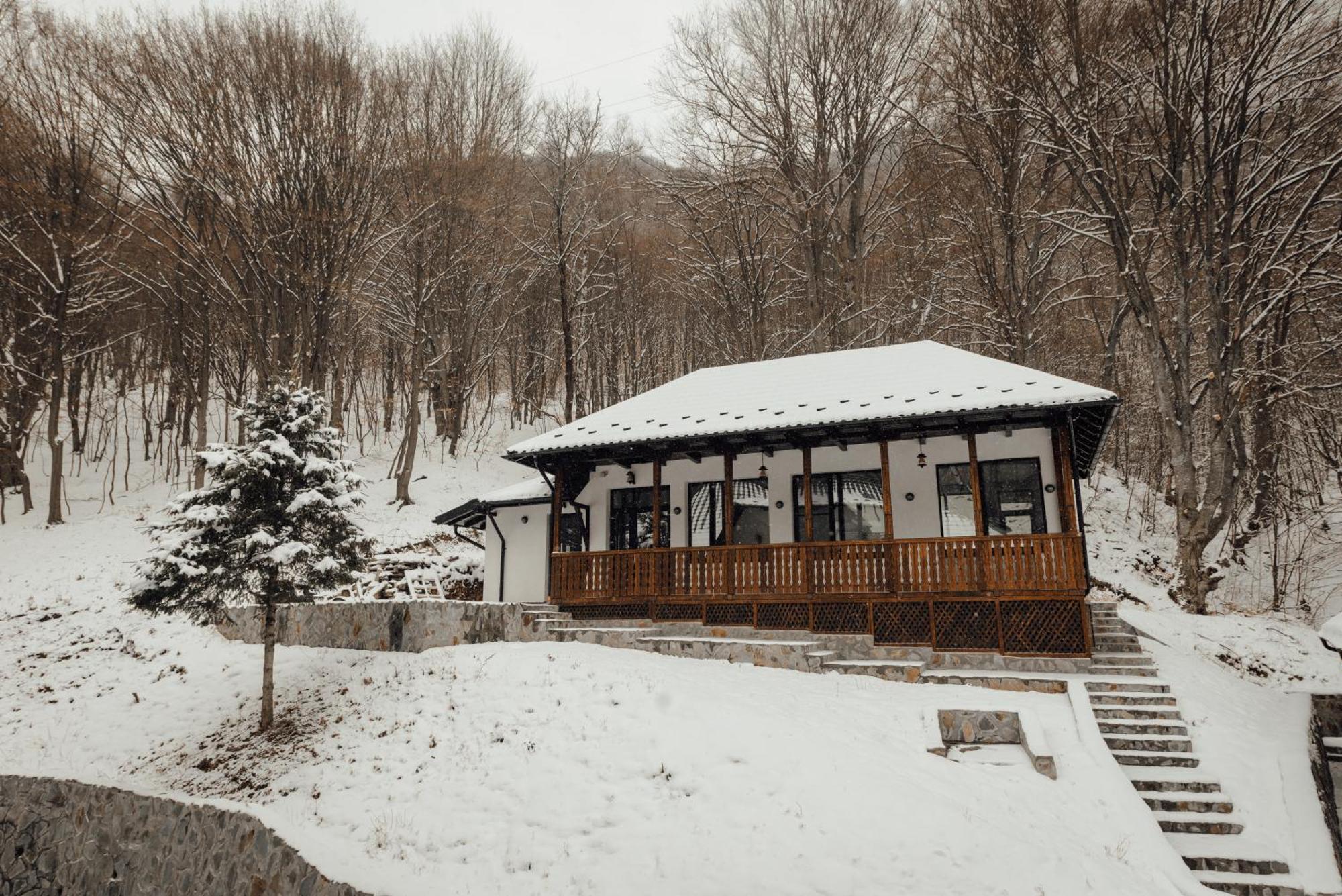 Poiana Mucenicului Hotell Arefu Exteriör bild