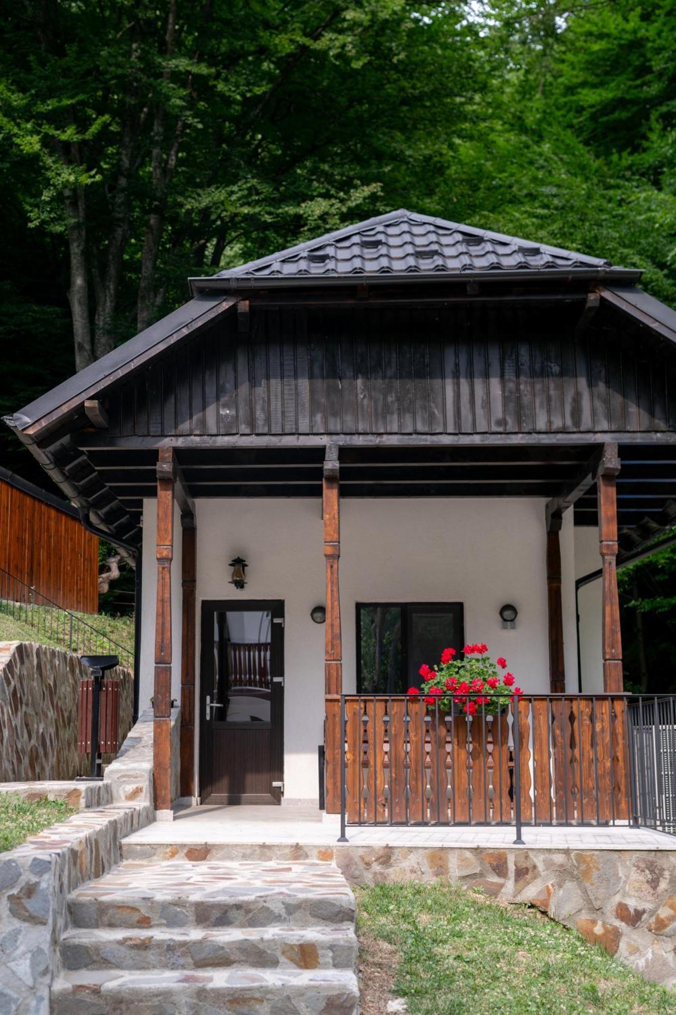Poiana Mucenicului Hotell Arefu Exteriör bild